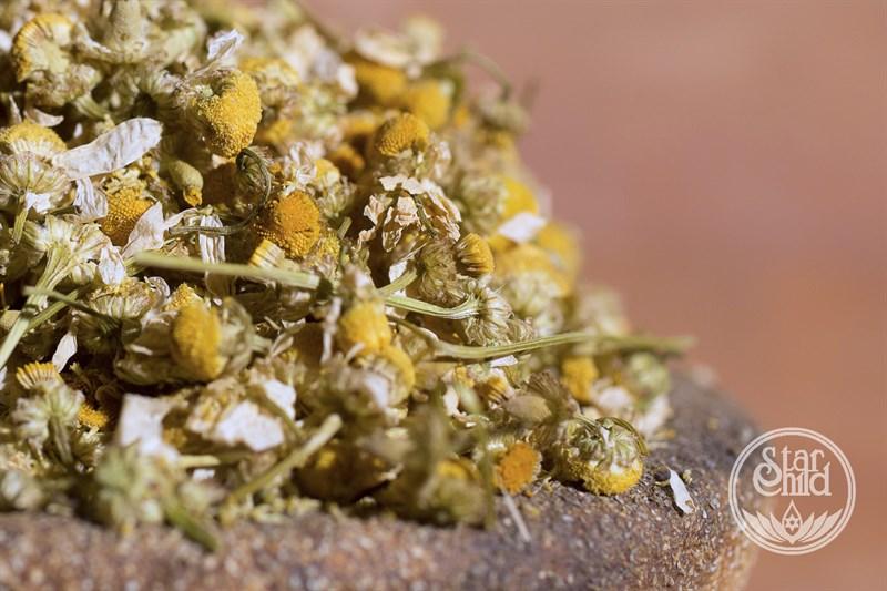 CHAMOMILE ORGANIC