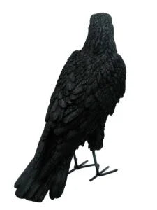 Resin crow 34 cm