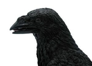 Resin crow 34 cm